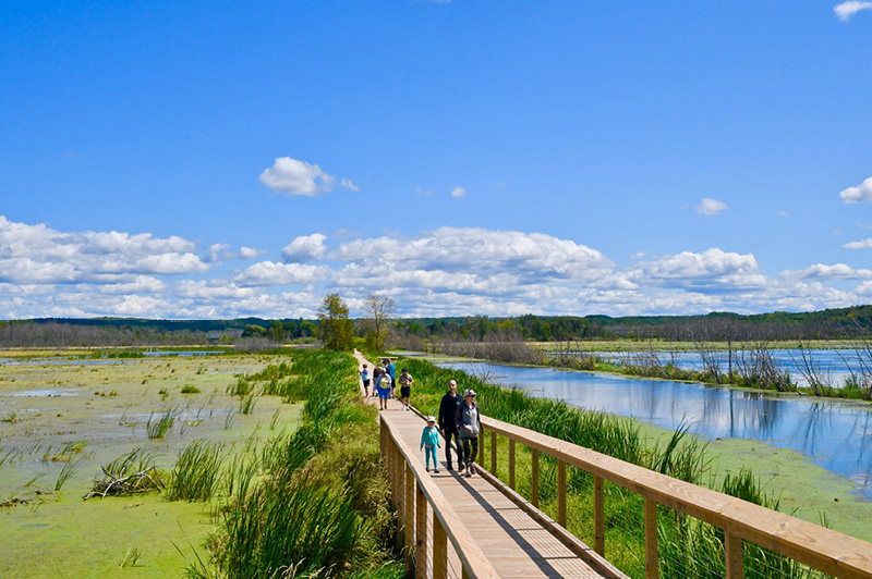 Arcadia Marsh Nature Trail